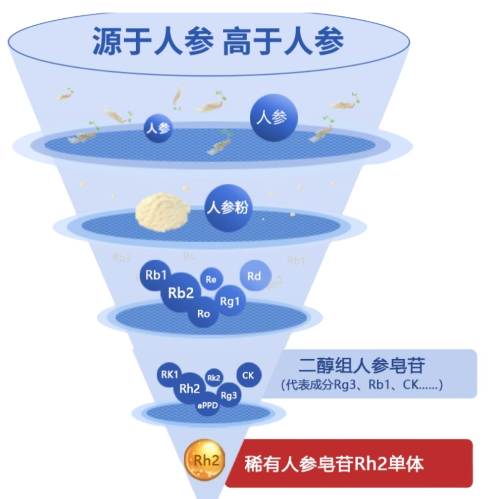 人参皂苷Rh2；20(S)-人参皂甙Rh2；调节免疫；含量5%-98%