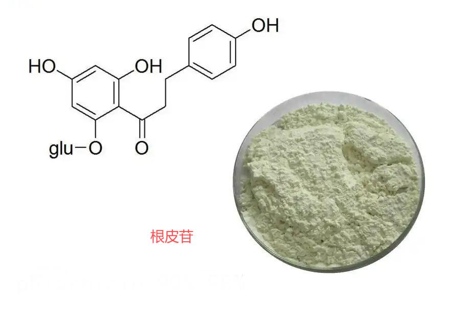 根皮苷，质量保证，不满意就退款是我们的承诺