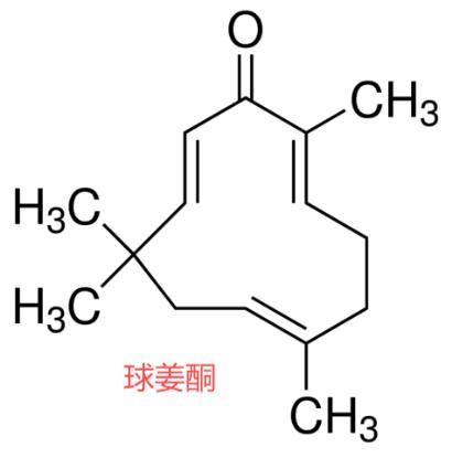 球姜酮，质量保证，不满意就退款是我们的承诺