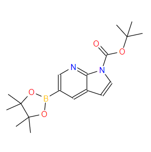 5-(4,4,5,5-四甲基-1,3,2-二氧硼杂环戊烷-2-基)-1H-吡咯并[2,3-b]吡啶-1-羧酸叔丁酯）