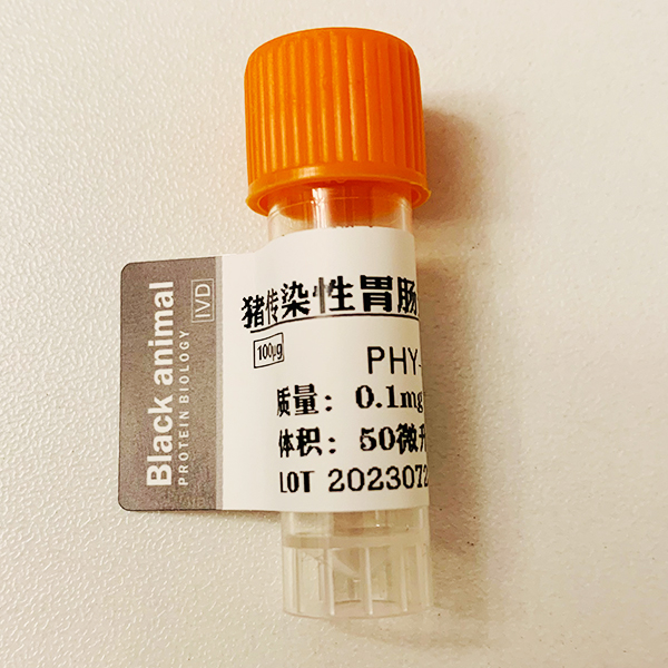 猪传染性胃肠炎病毒蛋白（TGEV），猪传染性胃肠炎病毒N蛋白(CV777株)