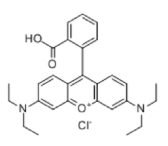 罗丹明 B