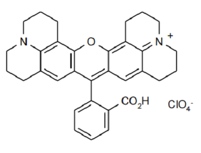 Rhodamine 101 perchlorate