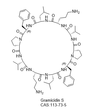 Gramicidin S