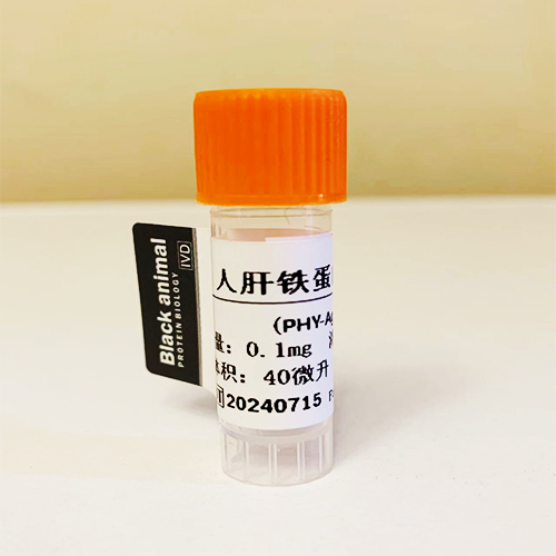 0.1mg人肝铁蛋白(Ferritin)抗原，人肝铁蛋白, 铁蛋白抗原，Ferritin抗原