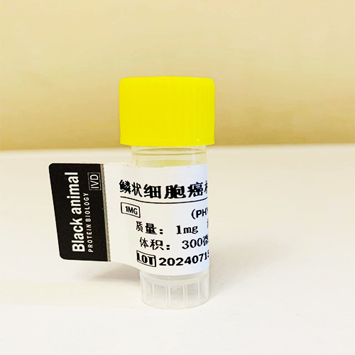 0.1MG鳞状细胞癌相关抗原（SCC-Ag)， 鳞状细胞癌相关抗原，SCC-Ag，SCC抗原  