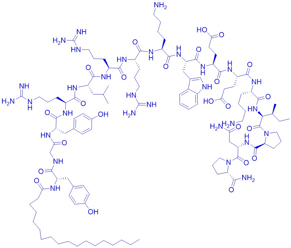 Lyn peptide inhibitor/222018-18-0/抑制剂多肽Lyn peptide inhibitor