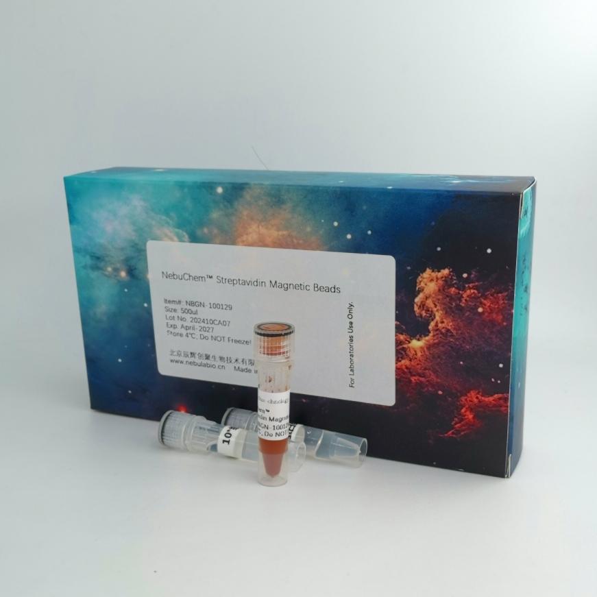 辰辉创聚生物Nebulabio蛋白亲和纯化树脂及磁珠