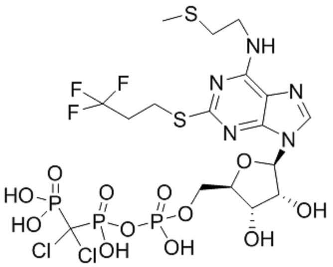 N-[2-(甲硫基)乙基]-2-[(3,3,3-三氟丙基)硫基]-5’-腺苷 P,P'-(二氯甲叉)二磷酸酐