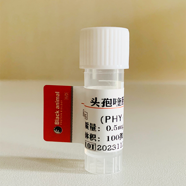 头孢氨苄-BSA(OVA）偶联抗原，头孢氨苄抗原，Cephalexin（CEX）抗原