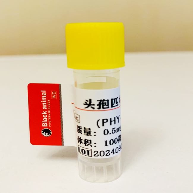 头孢匹林-BSA(OVA）偶联抗原，头孢匹林抗原，Cephalosporin CEP抗原