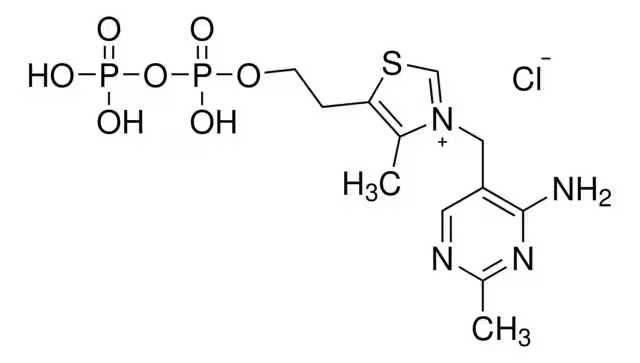 焦磷酸硫胺素 154-87-0