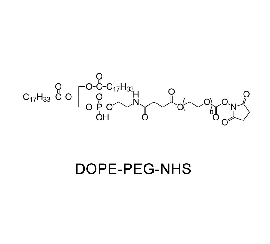 甲氧基聚乙二醇-二肉豆蔻酰基磷脂酰乙醇胺；MPEG-DMPE