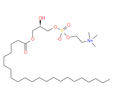 1-己烯基-2-羟基-sn-甘油-3-磷酸胆碱