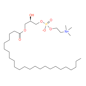 1-木质氰基-2-羟基-sn-甘油-3-磷酸胆碱