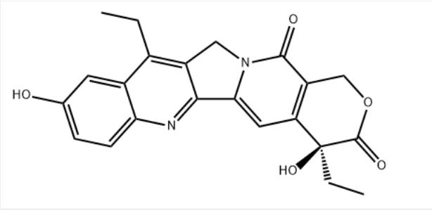 7-乙基-10-羟基喜树碱；SN-38；86639-52-3