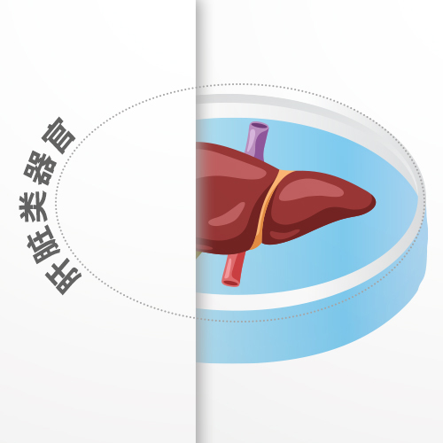 肝脏类器官-ACROBiosystems百普赛斯