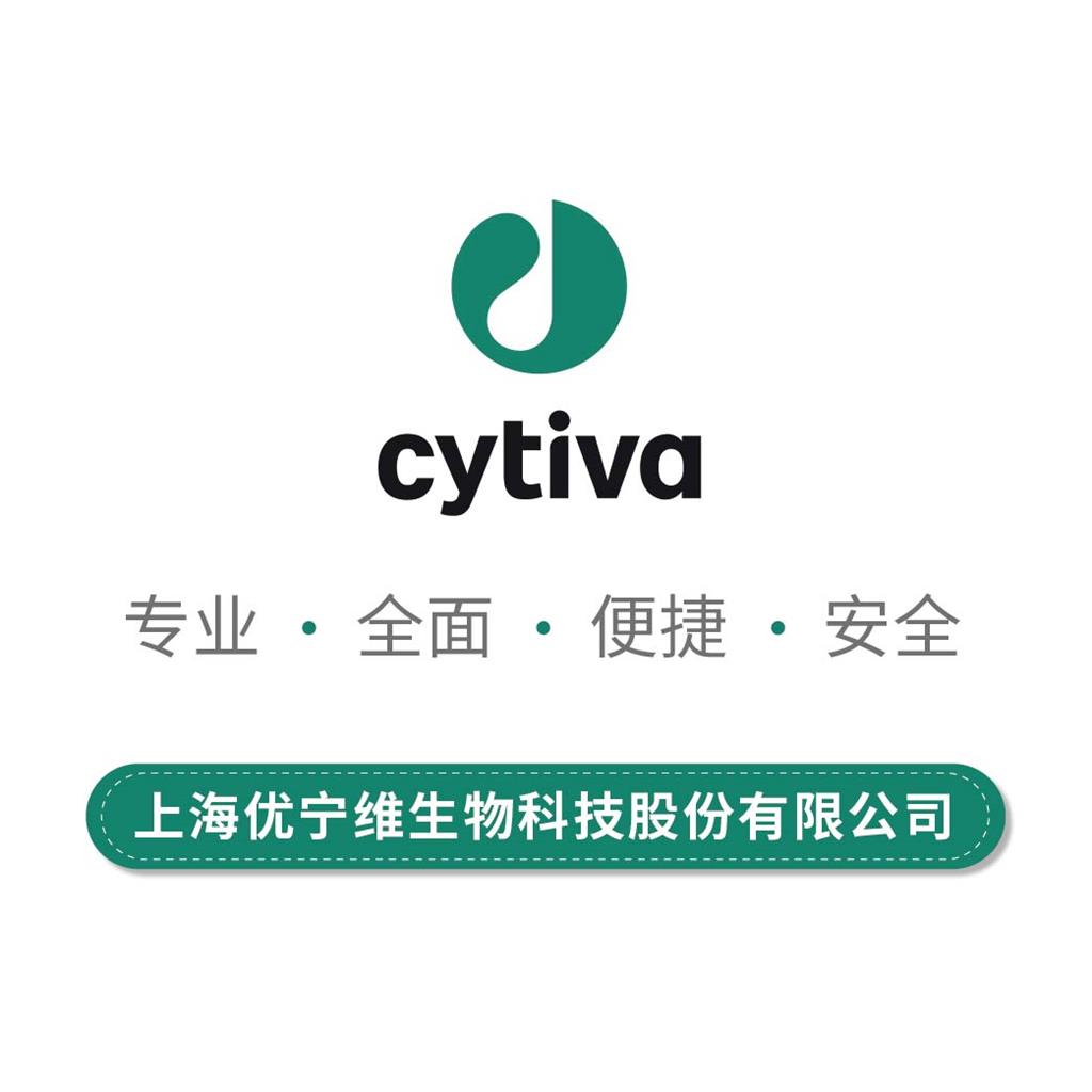 Cytiva Series S Sensor chip CM7，3片装（或称为三包装）