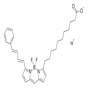 BODIPY 581/591 C11