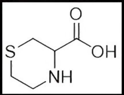 3-硫代吗啉羧酸