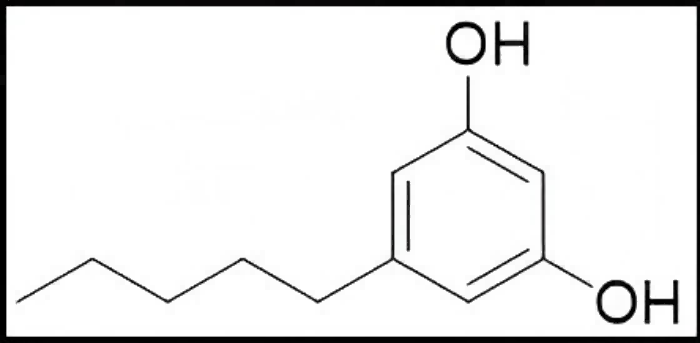 3,5-二羟基戊苯 橄榄醇