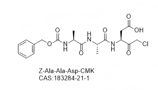 Z-AAD-CMK