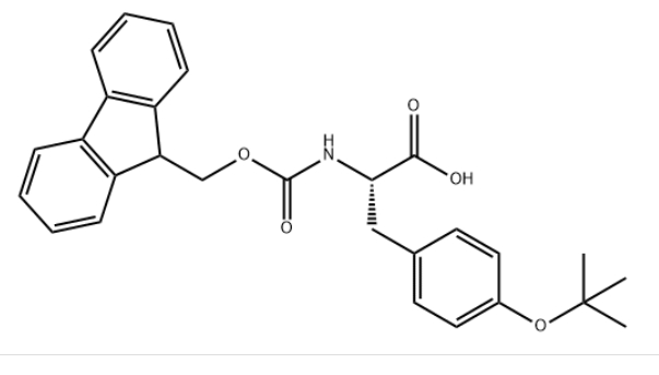 Fmoc-O-叔丁基-L-酪氨酸