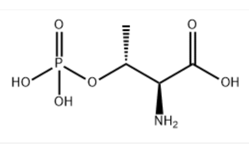 L-2-氨基-3-羟基丁酸-3-磷酸酯