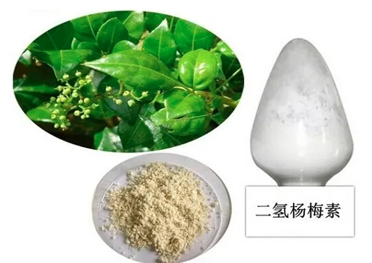 二氢杨梅素,天然解酒护肝抗菌原料,藤茶提取物,含量98%,Dihydromyricetin,27200-12-0