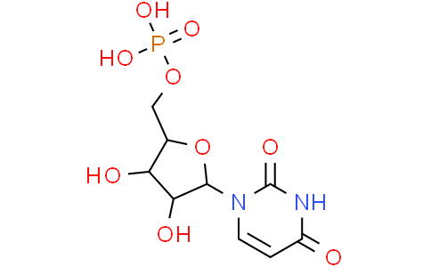 尿苷5-单磷酸 ≥95% 58-97-9