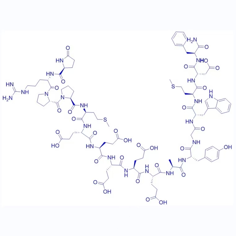 Gastrin-1, rat/81123-06-0/鼠源促胃泌素释放肽-1;Rat Gastrin-17