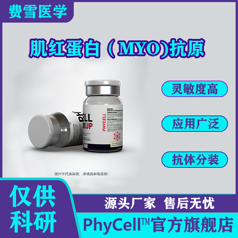 肌红蛋白；肌红蛋白抗原；Myoglobin MYO抗原；MYO抗原