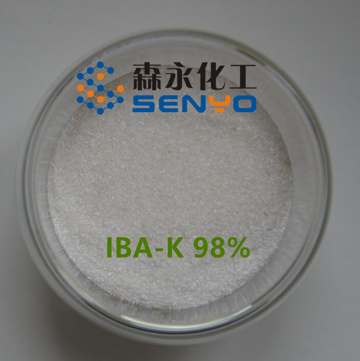 98%吲哚丁酸钾  IBA-K 溶于水，稳定好用，工厂直供！