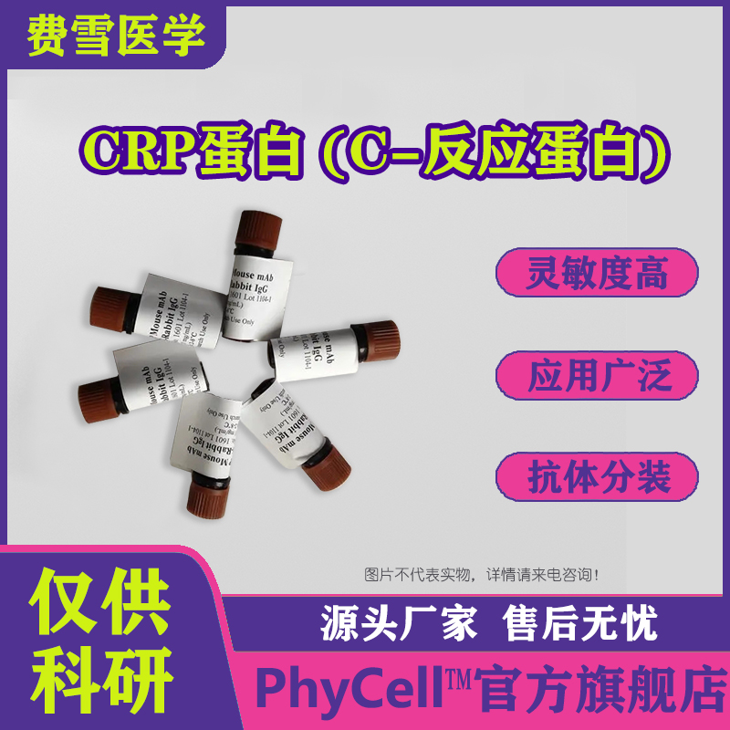 CRP蛋白；C-反应蛋白；CRP抗原 ；C-reactive protein；CRP