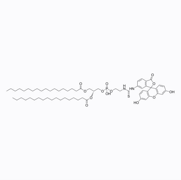 磷脂-荧光素，2933358-06-4，DSPE-Fluorescein