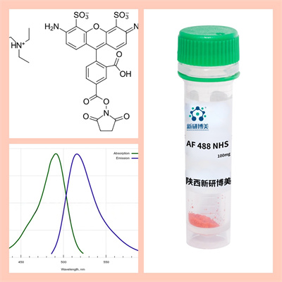 AF488标记人血白蛋白，Human Serum Albumin-AF488