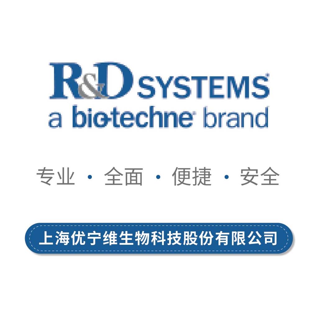 重组小鼠转化生长因子β1蛋白