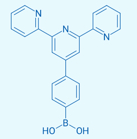 381218-96-8  4'-(4-硼酸基苯基)-2,2':6',2''-三联吡啶