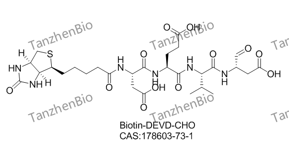 Biotin-DEVD-CHO 178603-73-1