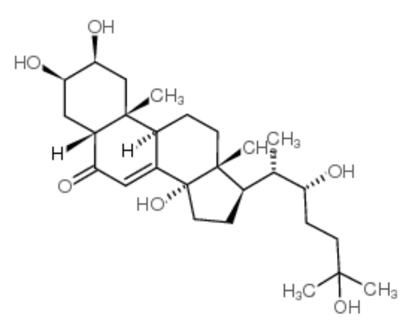 蜕皮激素 3604-87-3