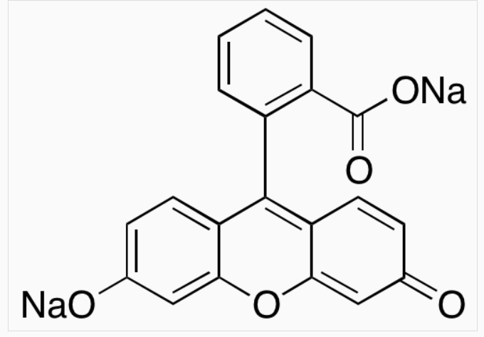 荧光素钠 518-47-8 Fluorescein sodium salt