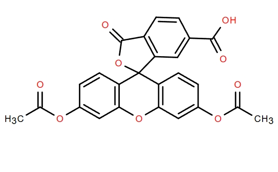 6-羧基荧光素二乙酸酯