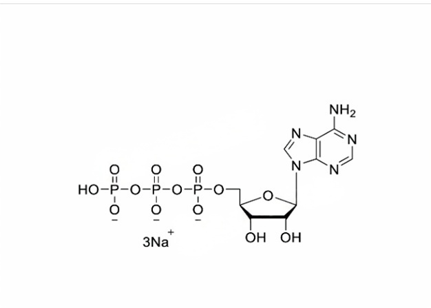 腺苷三磷酸钠盐溶液（100mM）ATP,100mM Sodium Salt Solution