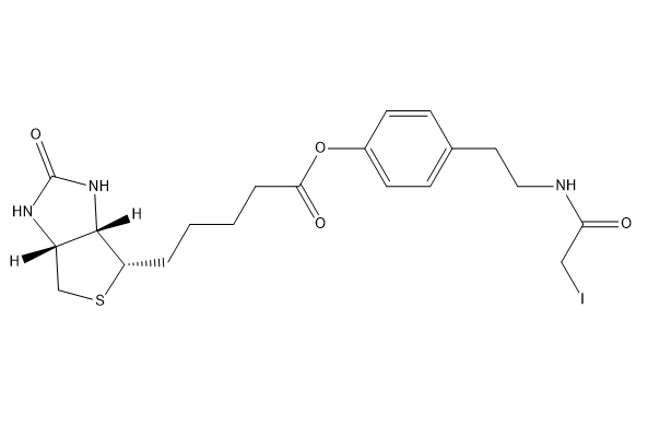 4-(2-(2-iodoacetamido)ethyl)phenyl 5-((3aS,4S,6aR)-2-oxohexahydro-1H-thieno[3,4-d]imidazol-4-yl)pentanoate