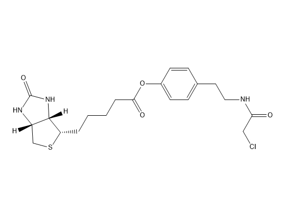 4-(2-(2-chloroacetamido)ethyl)phenyl 5-((3aS,4S,6aR)-2-oxohexahydro-1H-thieno[3,4-d]imidazol-4-yl)pentanoate