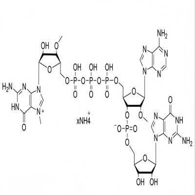 (3'0Me)GAG帽类似物3'OMe-GAG Cap,100mM Ammonium Salt  Solution