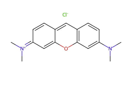 派洛宁Y 92-32-0 Pyronin Y