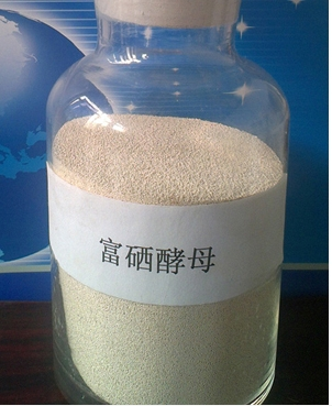 富硒酵母,硒营养强化剂,1000PPM,2000PPM,10000PPM