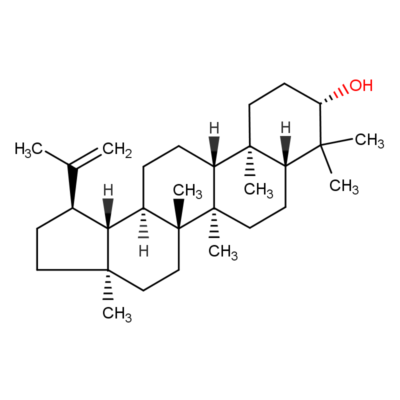 羽扇豆醇545-47-1