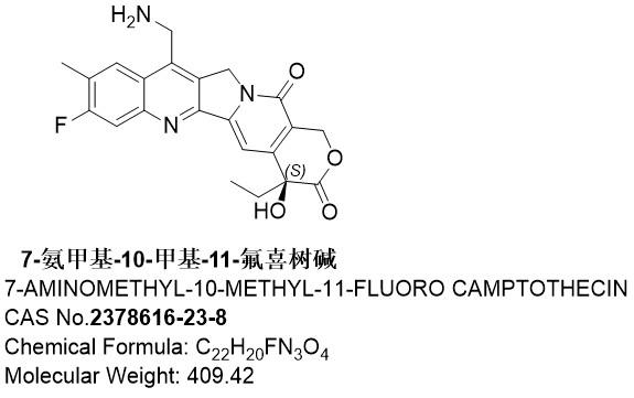 7-氨甲基-10-甲基-11-氟喜树碱.jpg